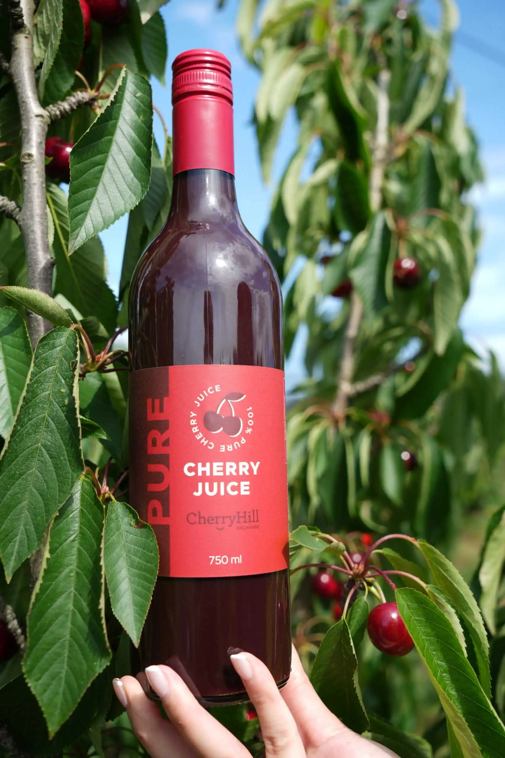 Pure Cherry Juice - Image 7