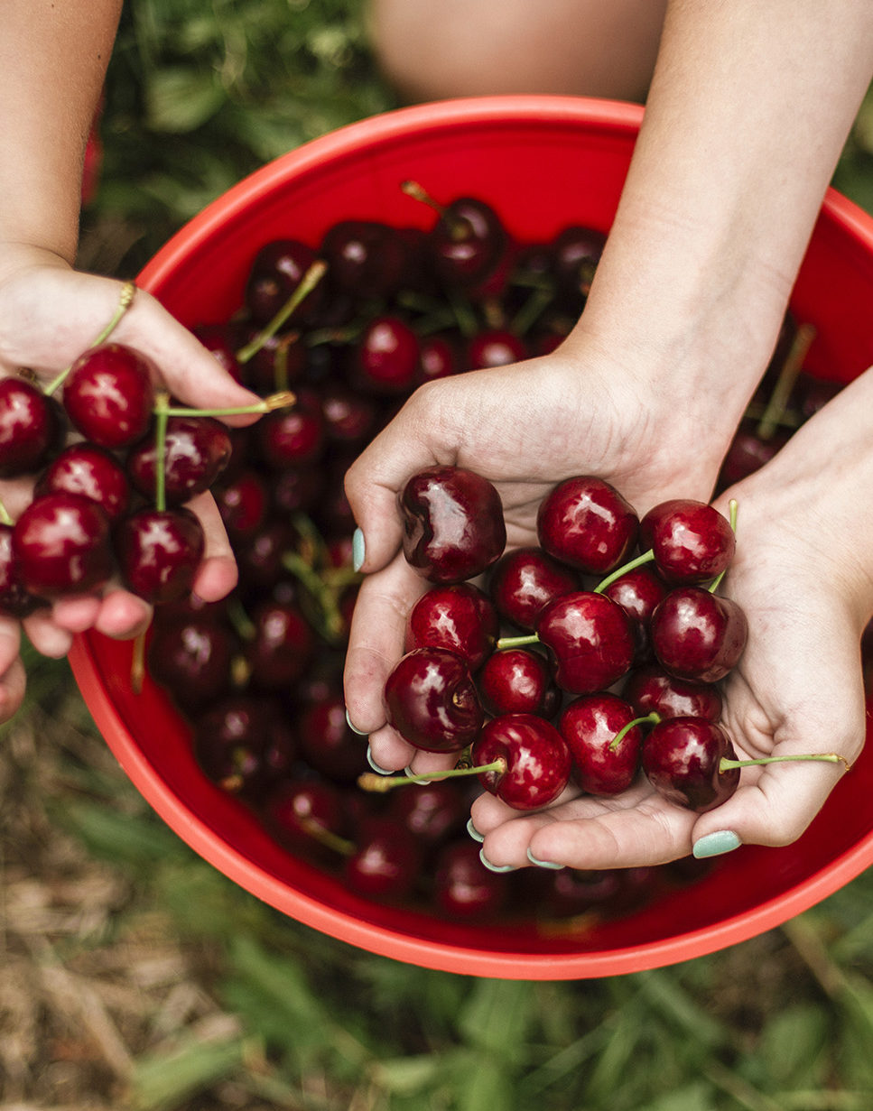 Growing Moments Of Joy For 80 Years Cherryhill Orchards