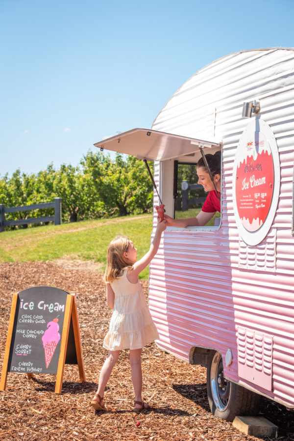 Cherry Picking Wandin 2nd Visit - Image 2