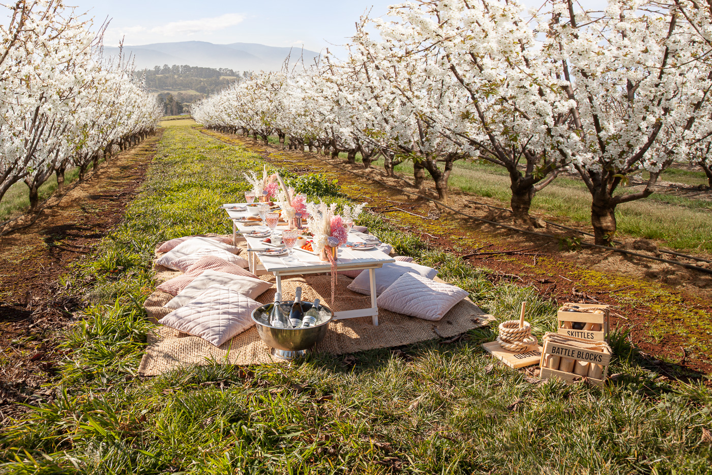 Blossom Posh Picnics 2022 Cherryhill Orchards