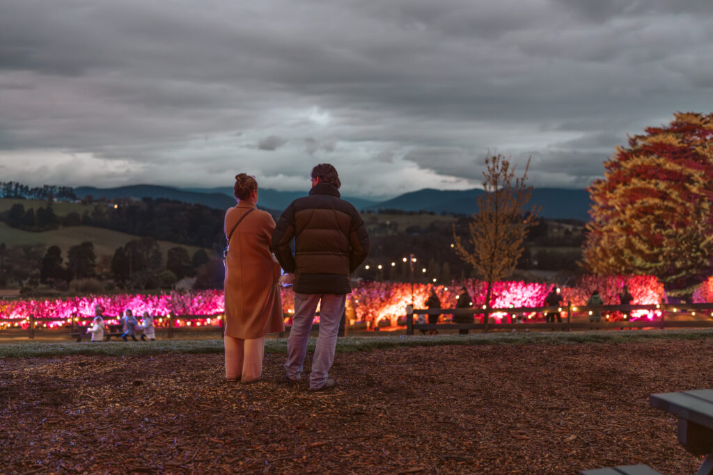 couple enjoy blossom by light